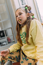 Afbeelding in Gallery-weergave laden, Hi! I&#39;m LIZZY, a lime green elastic hair ties set.  Be on trend with this set of pom hair ties! This 2 pack of hair ties comes in lime green. 